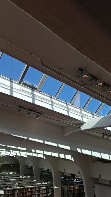 Foto: Fenster im Deckengewölbe der BIB. Die Sonne scheint. Unten sind Buchregale zu sehen.