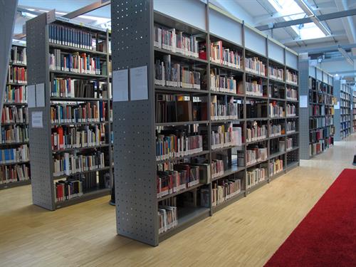 libraryshelf